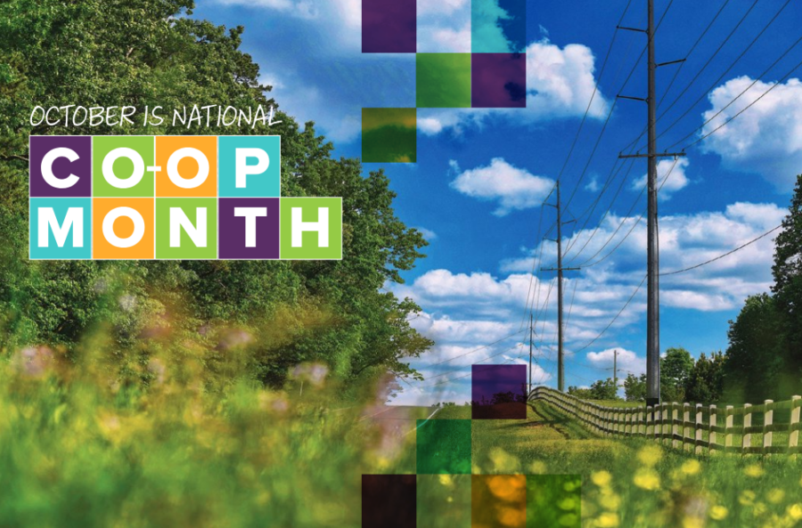 A vibrant field and power lines under blue skies, with text celebrating National Co-op Month in colorful blocks and floral foreground.