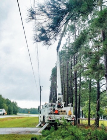 Crews perform tree trimming as part of right-of-way maintenance