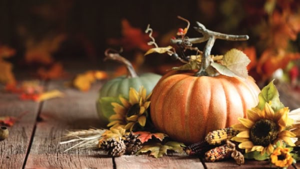 Pumpkins, sunflowers, corn, and autumn leaves arranged on a rustic wooden table, creating a cozy fall harvest scene with warm, earthy tones.