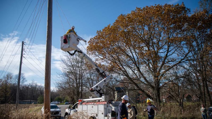 Cooperative workers trim trees for safety