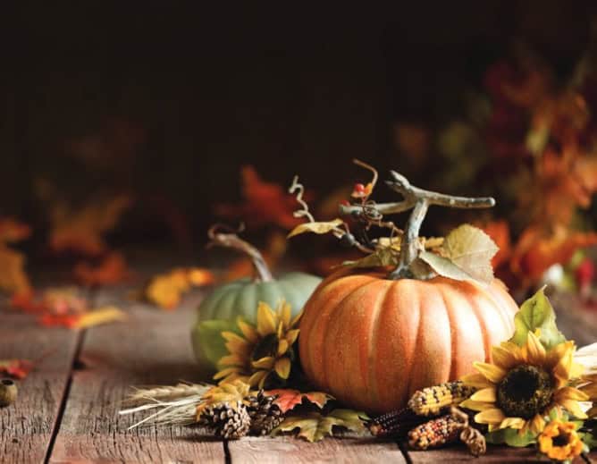 Autumn-themed still life with pumpkins, sunflowers, pinecones, and colorful leaves on a rustic wooden table, evoking a warm, seasonal atmosphere.